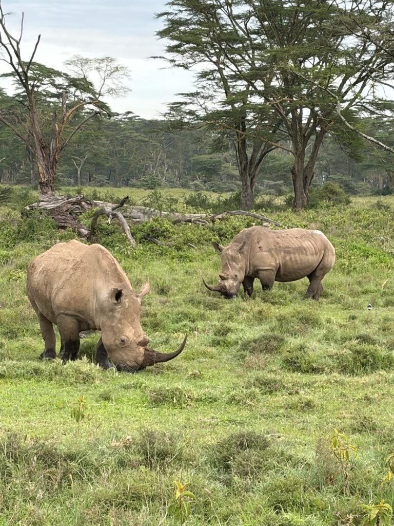 Kenia